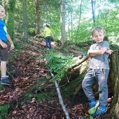 Waldwoche Juni 2019 (32).JPG
