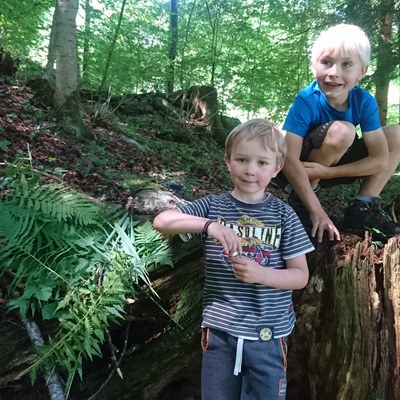 Waldwoche Juni 2019 (34).JPG