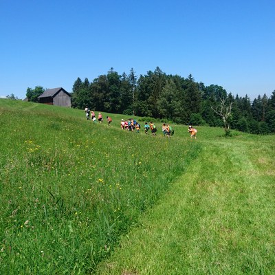 Waldwoche Juni 2020 (1).JPG
