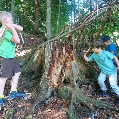 Waldwoche Juni 2020 (22).JPG