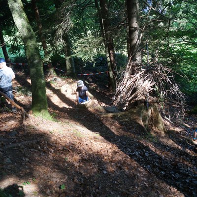 Waldwoche Juni 2020 (65).JPG