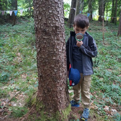 Waldwoche Juni 2021 (235).JPG