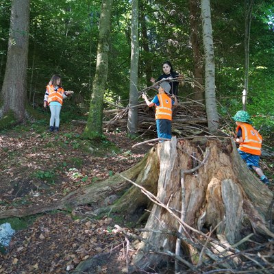 Waldwoche Juni 2021 (31).JPG
