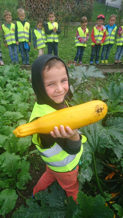 Das Thema Erntedank begleitet uns in den nächsten Wochen im Kindergarten.