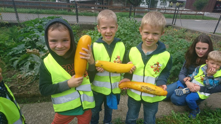 Wir freuten uns über die prachtvolle Zucchini Ernte.