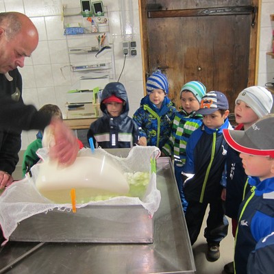 Käse machen am Bauernhof
