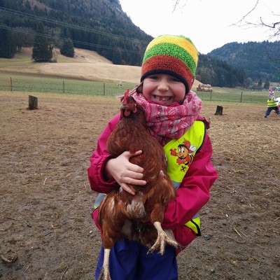 "Vom Ei zum Huhn"