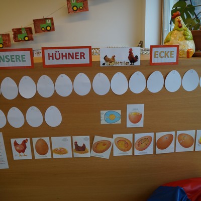 Vom Ei zum Huhn