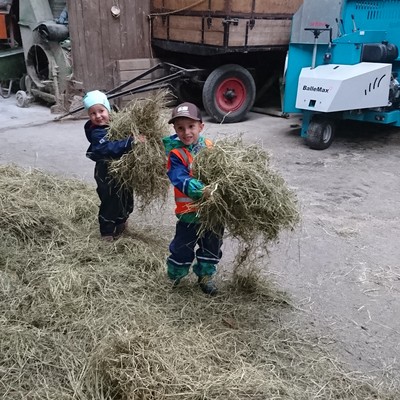 Exkursion zum Bauernhof Malin