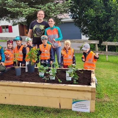 Gartenprojekt Hochbeete