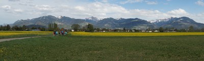 Frutz Rhein Ill Wanderung 06.jpg