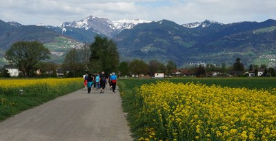 Frutz Rhein Ill Wanderung 07.jpg