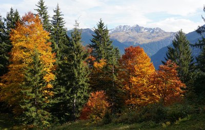 Innerberg 07.jpg