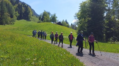 Pizalun 08.jpg