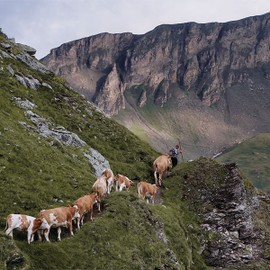 Alpenland