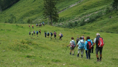 Alpwanderung im Laternsertal