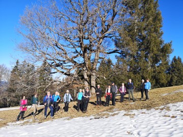 Silvesterwanderung AV-Senioren