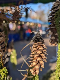 Bsundriga Markt 2024