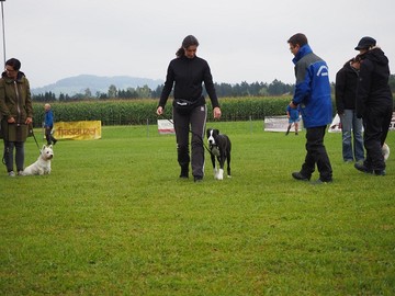 HSV HUNDESCHULE RANKWEIL