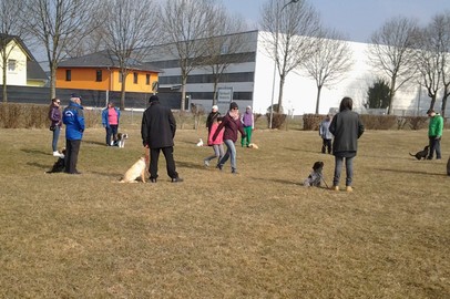 HSV Rankweil:  HUNDESCHULE  RANKWEIL