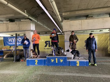 HSV Rankweil/Sektion Agility