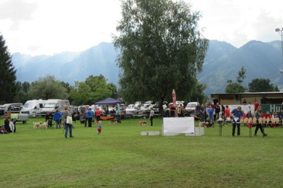 Hundeschule Rankweil/ Ausbildungs-Kursbeginn