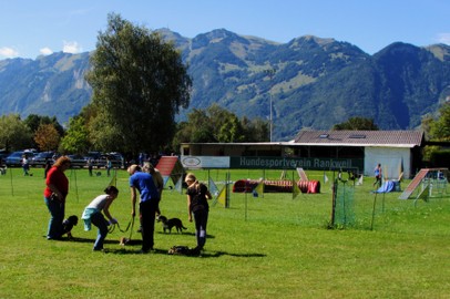 Hundeschule Rankweil/ Ausbildungs-Kursbeginn