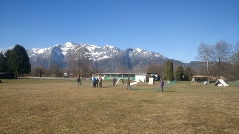 Hundeschule Rankweil - Hundesportverin Rankweil