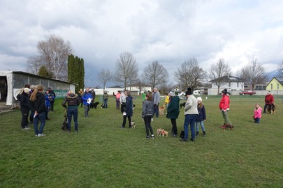 Hundesporterein RANKWEIL- HUNDESCHULE