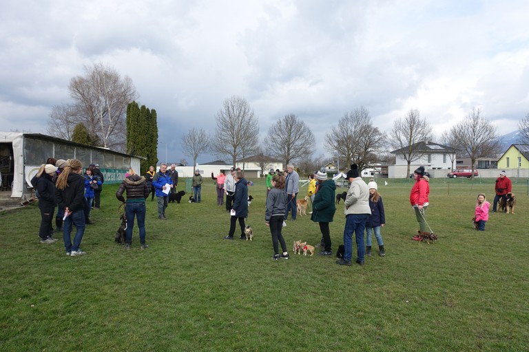 Kursbeginn in der Hundeschule Rankweil