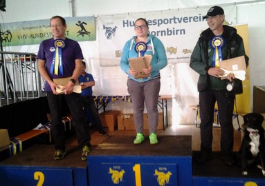 Hundesportverein RANKWEIL Sektion Agility