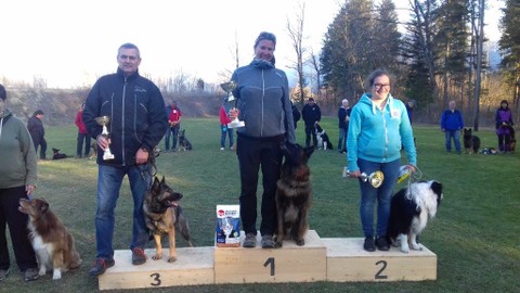 Hundesportverein RANKWEIL