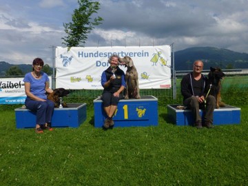 Hundesportverein RANKWEIL - 2. VHV Cupturnier in Dornbirn