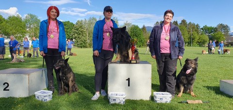 Hundesportverein Rankweil