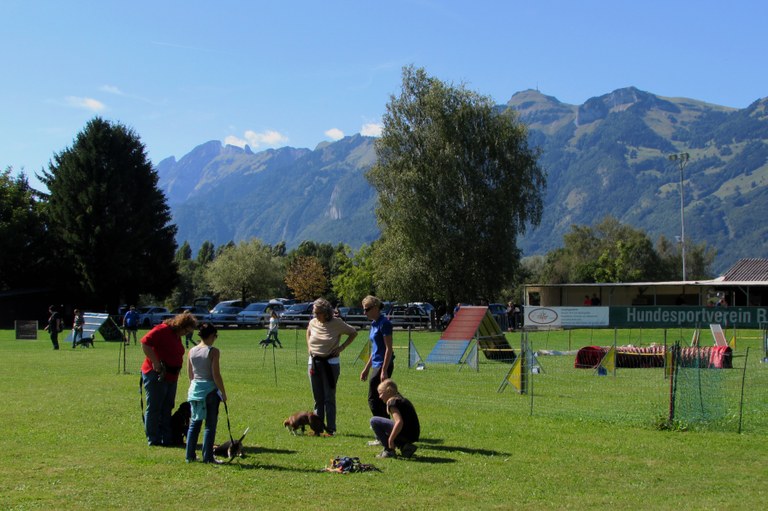 Hundeschule Rankweil : Kursbetrieb