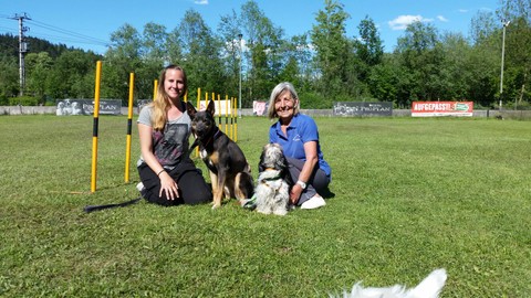 Hundesportverein RANKWEIL/Agility : Kundl/T -1.MAC Quali+1.Alpencup 21.+22.5.