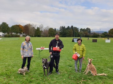 Hundesportverein RANKWEIL- HUNDESCHULE