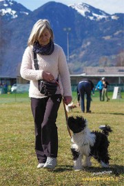 Hundesportverein Rankweil - HUNDESCHULE