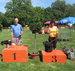 Hundesportverein Rankweil/ Sektion Agility  Xibergerturnier