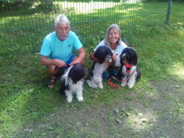 Hundesportverein RANKWEIL Sektion Agility