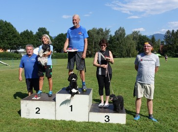 Hundesportverein RANKWEIL Sektion Agility
