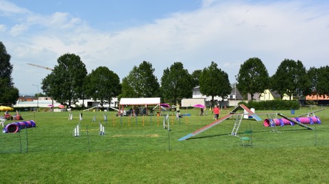 Hundesportverein RANKWEIL/ Sektion Agility