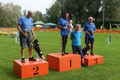 Hundesportverein RANKWEIL/ Sektion Agility