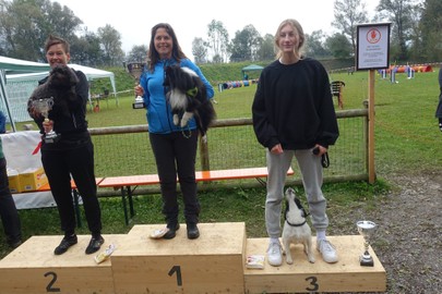 Hundesportverein RANKWEIL/ Sektion Agility