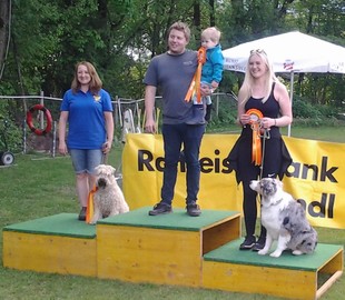 Hundesportverein Rankweil / Sektion Agility