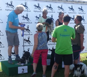 Hundesportverein RANKWEIL Sektion Agility