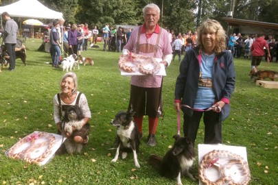 Hundesportverein RANKWEIL Sektion Agility/ Höchster Wiesn Turnier 1.10.2017