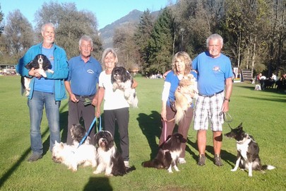Hundesportverein RANKWEIL Sektion Agility/ Letztes  Alpencup Tirol- Turnier 2017
