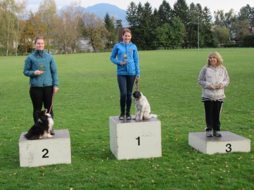 Hundesportverein RANKWEIL Sektion Agility/ Vereinsmeisterschaft + Letztes Agility-Ländle Cupturnier 2017/ 28.+ 29.Okt.2017