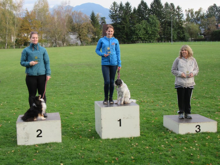 Agility Vereinsmeisterschaft 2017 : MEDIUM